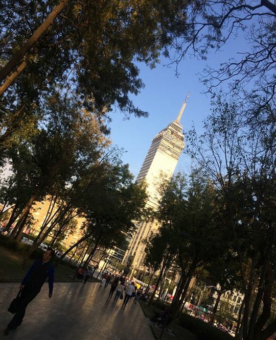 tree, plant, architecture, built structure, building exterior, city, nature, tower, sky, incidental people, tall - high, travel destinations, travel, tourism, building, group of people, day, history, the past, outdoors, office building exterior, skyscraper