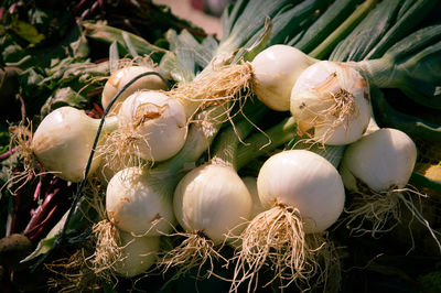 Close-up of onion for sale