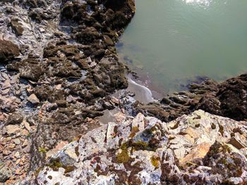 High angle view of rock formation at sea shore