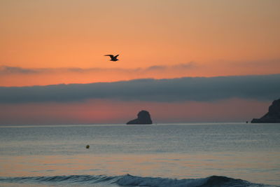 Scenic view of sea against orange sky