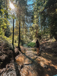 Rear view of woman on plants in forest