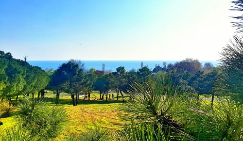 Scenic view of sea against clear sky