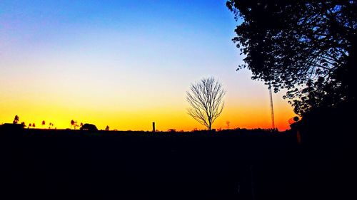 Silhouette of trees on landscape at sunset