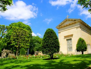 Low angle view of trees against sky