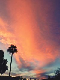 Low angle view of silhouette palm trees against dramatic sky