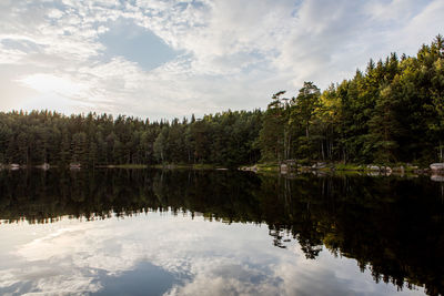 Reflection of trees in lake against sky