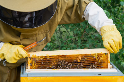 Midsection of man working at farm