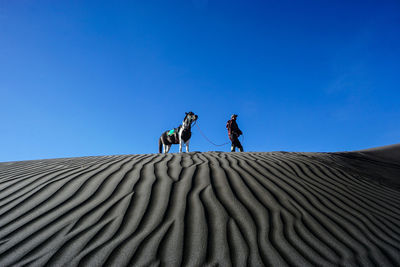 Man walking with horse at the desert