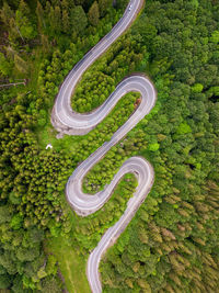 High angle view of agricultural field