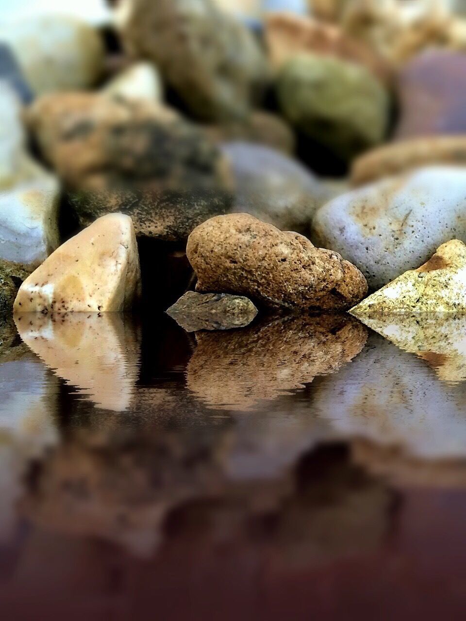 close-up, selective focus, textured, stack, focus on foreground, wood - material, large group of objects, abundance, rough, day, still life, surface level, no people, pebble, rock - object, brown, outdoors, log, stone - object, nature