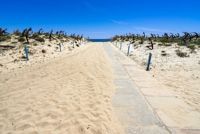 Scenic view of beach against blue sky