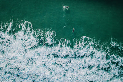 High angle view of birds swimming in sea