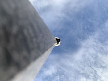 Low angle view of a bird