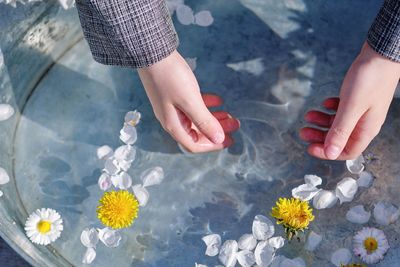 High angle view of hands holding flowers on floor