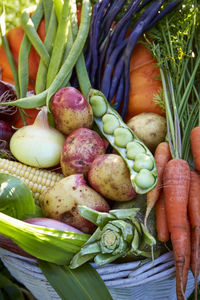 Vegetables in basket