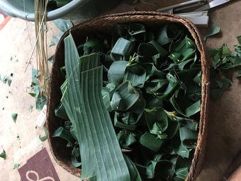 High angle view of plants growing in basket