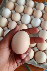 Close-up of hand holding eggs