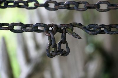 Close-up of chain