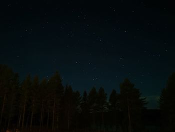 Low angle view of silhouette trees against sky at night