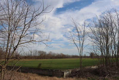 Scenic view of field against sky