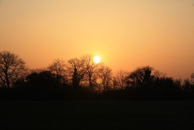 Silhouette trees against clear sky during sunset