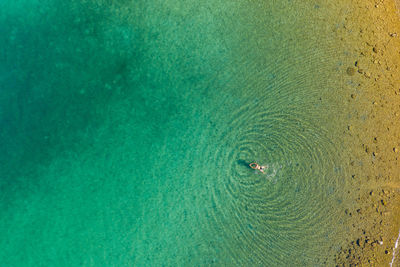 Aerial view of a girl is swimming in the clear sea of brijuni national park in croatian adriatic