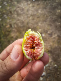 Close-up of hand holding half of green fig