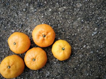 High angle view of oranges