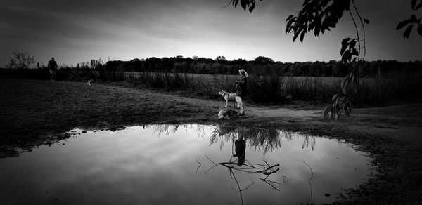 Reflection of trees on lake against sky