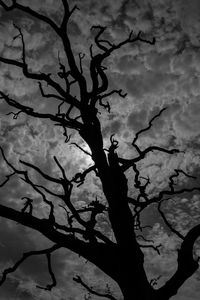 Low angle view of bare trees against sky