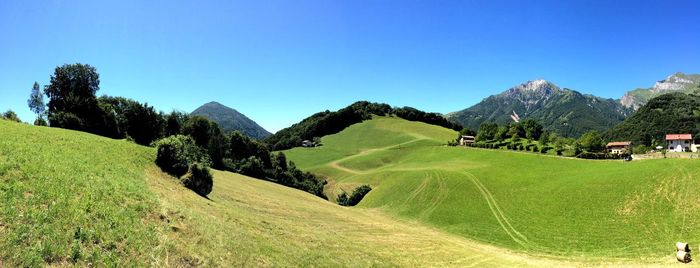 Scenic view of landscape against blue sky