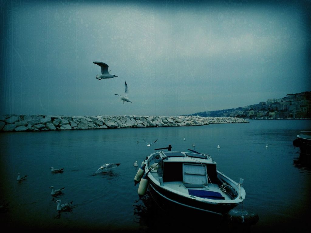 transportation, nautical vessel, mode of transport, water, bird, boat, flying, moored, animal themes, wildlife, sea, sky, animals in the wild, waterfront, nature, one animal, auto post production filter, lake, tranquil scene, outdoors