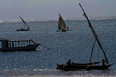 Sailboats sailing in sea against sky