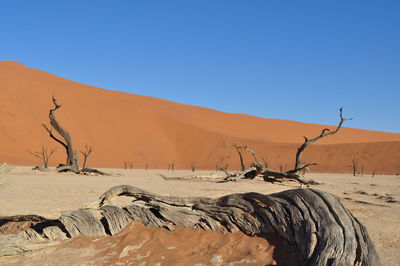 Scenic view of desert against clear sky