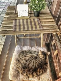 High angle view of cat resting on chair