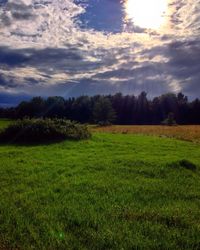 Scenic view of field against sky during sunset