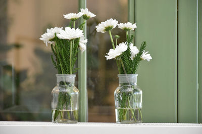 Close-up of white flowers in glass vase