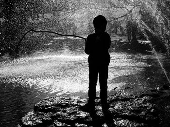 Reflection of silhouette trees in water