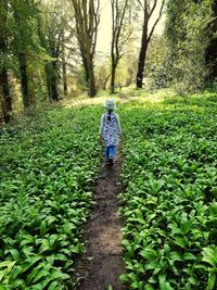 Rear view of woman walking on trail amidst trees