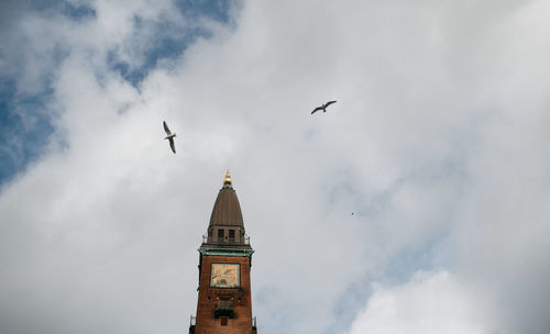 Low angle view of bird flying against sky