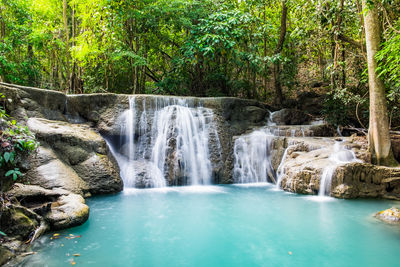 High angle view of waterfall in forest