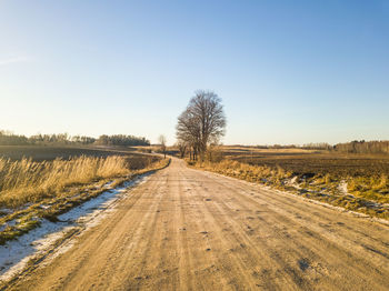 Empty road along bare trees on field against clear sky