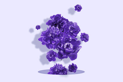 purple