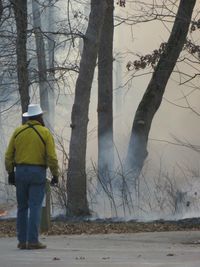 Rear view of man walking on bare tree