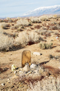 Scenic view of desert cemetery against sky