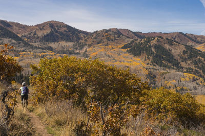 Rear view of cyclist in the mountains