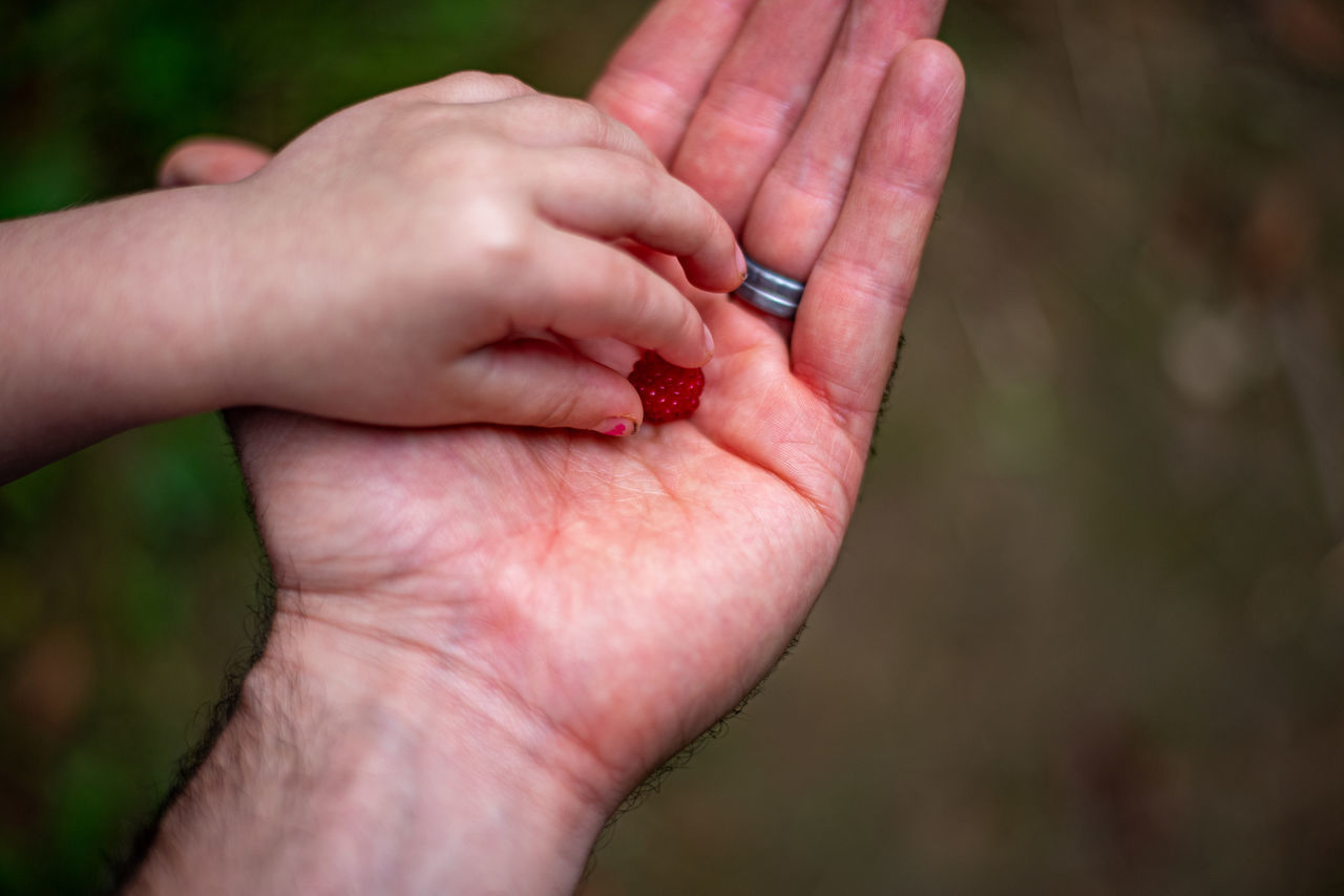 CLOSE-UP OF HAND HOLDING HANDS OUTDOORS