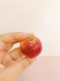 Close-up of hand holding apple