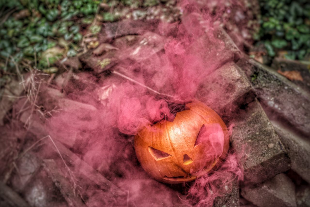 HIGH ANGLE VIEW OF PUMPKIN PUMPKINS