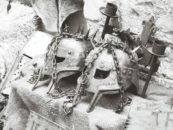 High angle view of horse